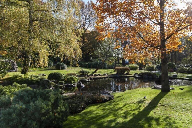 1-Bed Apartment, Close To Kensington Olympia With Free Wi-Fi & Netflix London Eksteriør bilde